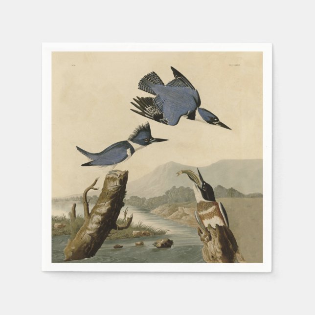 Audubon Belted Kingfisher Wildlife Bird Napkin (Front)