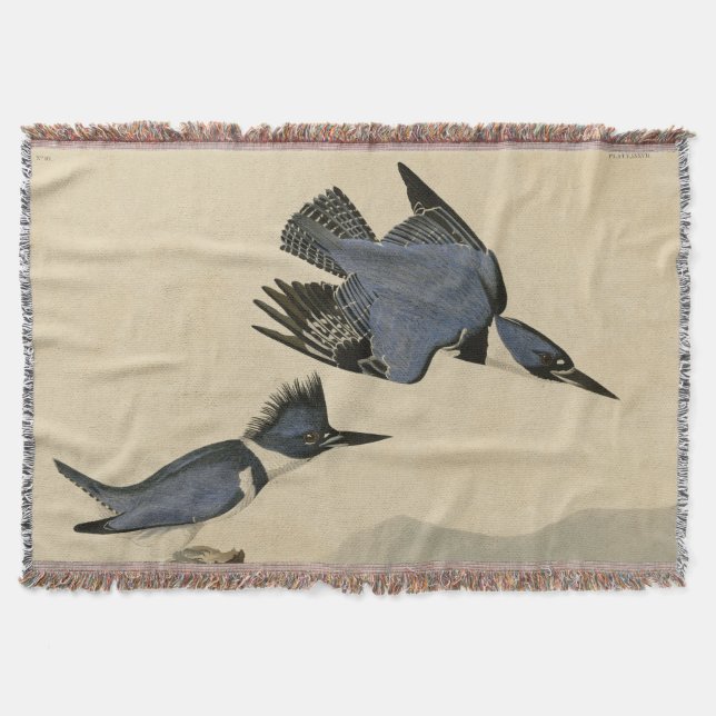 Audubon Belted Kingfisher Wildlife Bird Throw Blanket (Front)