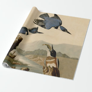 Audubon Belted Kingfisher Wildlife Bird Wrapping Paper