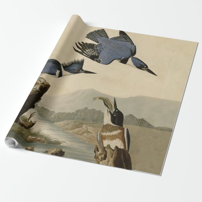 Audubon Belted Kingfisher Wildlife Bird Wrapping Paper (Unrolled)