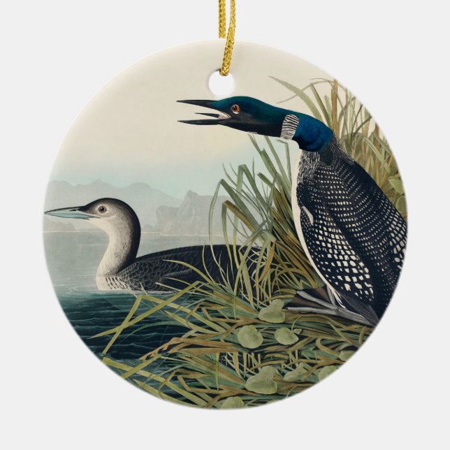 Audubon Bird Loon Diver Classic Ceramic Ornament (Front)