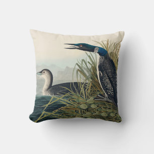Audubon Bird Loon Diver Classic Cushion