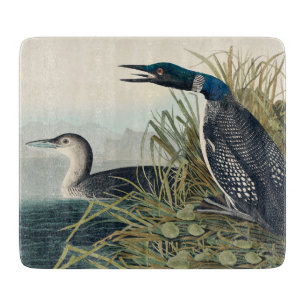 Audubon Bird Loon Diver Classic Cutting Board