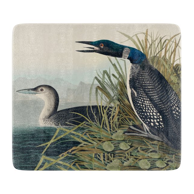 Audubon Bird Loon Diver Classic Cutting Board (Front)