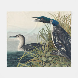 Audubon Bird Loon Diver Classic Fleece Blanket