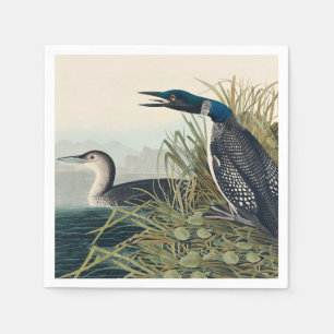 Audubon Bird Loon Diver Classic Napkin