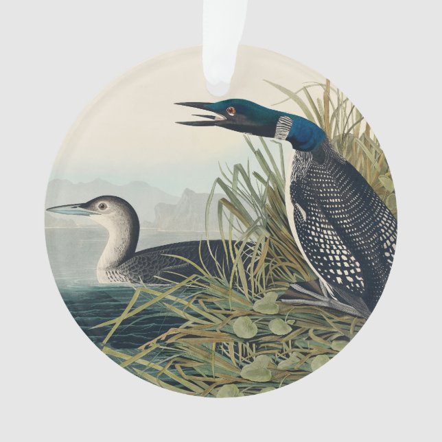 Audubon Bird Loon Diver Classic Ornament (Front)