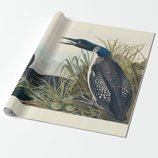 Audubon Bird Loon Diver Classic Wrapping Paper (Unrolled)