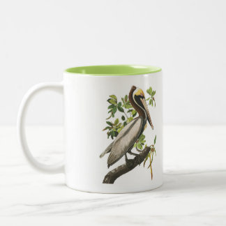 Audubon Bird Mug, Brown Pelican, 15 oz. Two-Tone Two-Tone Coffee Mug