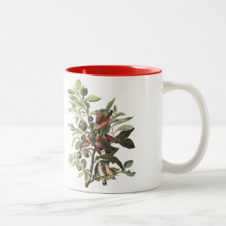 Audubon Bird Mug, Ground Dove, 15 oz. Two-Tone Coffee Mug