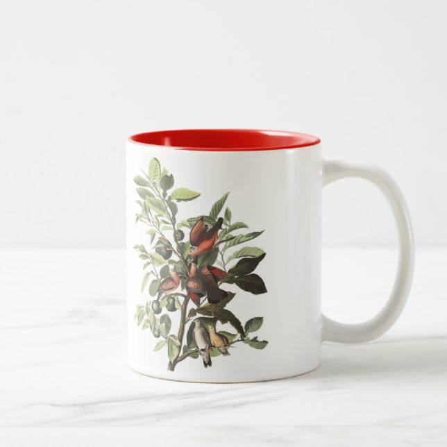 Audubon Bird Mug, Ground Dove, 15 oz. Two-Tone Coffee Mug (Right)