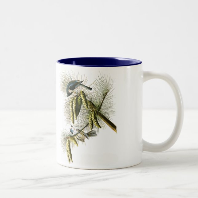 Audubon Bird Mug, Tufted Titmouse, 15 oz. Two-Tone Coffee Mug (Right)
