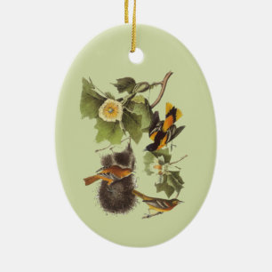 Audubon Birds Troupial Vintage Art Ceramic Ornament