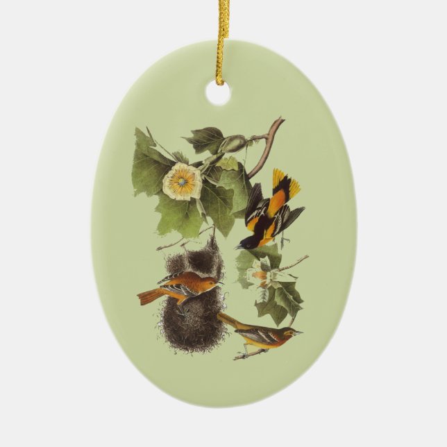 Audubon Birds Troupial Vintage Art Ornament (Front)