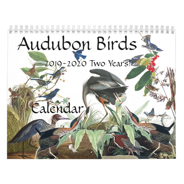 Audubon Birds Wildlife Animals 2019 2020 Calendar (Cover)