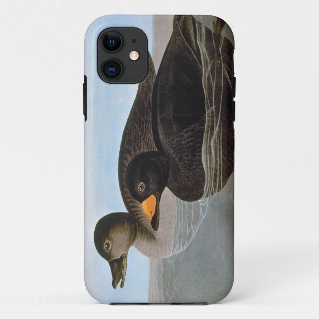 Audubon: Black Scoter Case-Mate iPhone Case (Back)