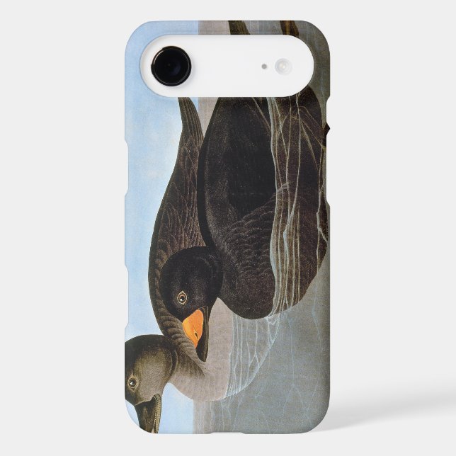 Audubon: Black Scoter Case-Mate Samsung Galaxy Case (Back)