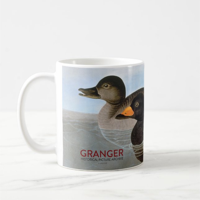 Audubon: Black Scoter Coffee Mug (Left)