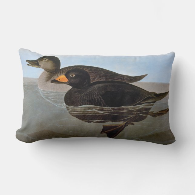 Audubon: Black Scoter Lumbar Cushion (Front)