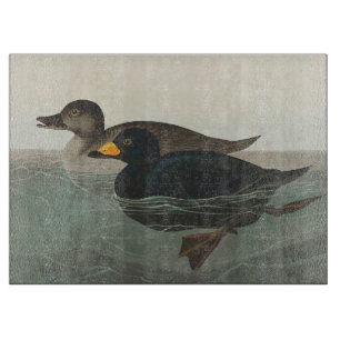 Audubon Black Scoter Print: Vintage Coastal Duck Cutting Board