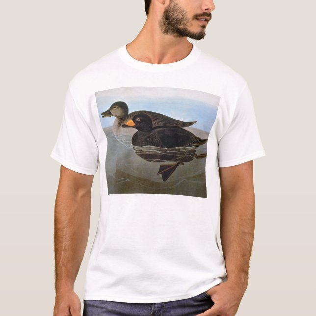 Audubon: Black Scoter T-Shirt (Front)
