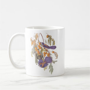 Audubon Blue Florida Scrub Jay on Orange Tree Coffee Mug