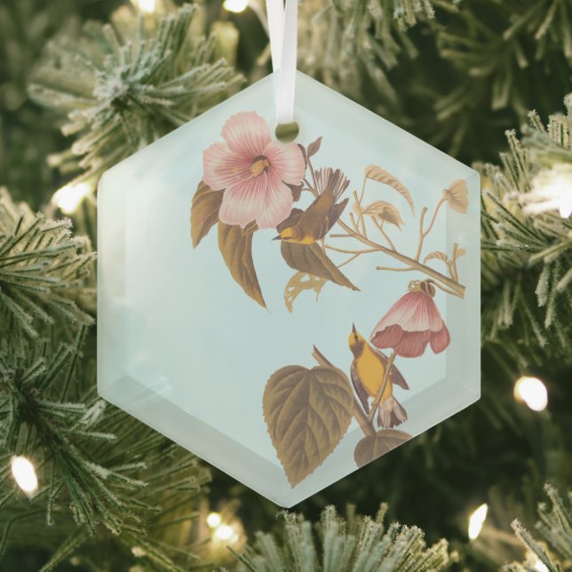 Audubon Blue Winged Yellow Warbler Bird Glass Tree Decoration (Insitu)