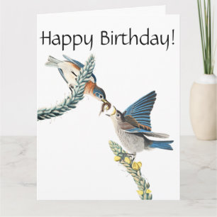 Audubon Bluebird Bird Wildlife Birthday Card