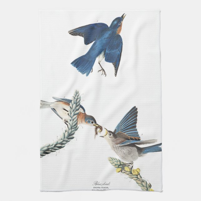 Audubon Bluebird Birds Flowers Kitchen Towel (Vertical)