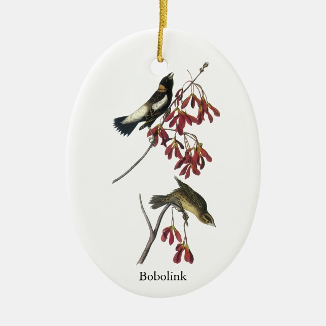 Audubon Bobolink Ceramic Ornament (Front)
