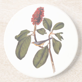 Audubon Bonaparte Flycatcher Songbird and Magnolia Coaster