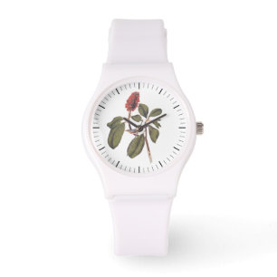 Audubon Bonaparte Flycatcher Songbird and Magnolia Watch