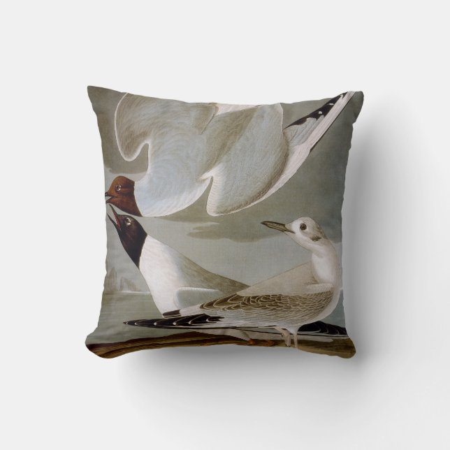Audubon: Bonaparte's Gull Cushion (Front)