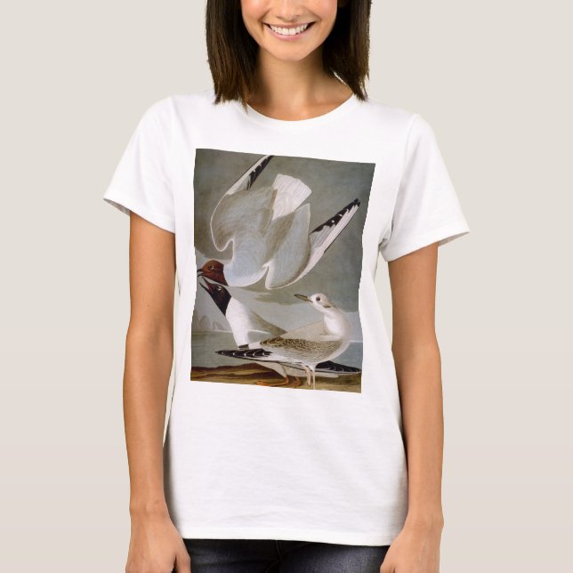 Audubon: Bonaparte's Gull T-Shirt (Front)
