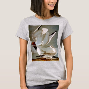 Audubon: Bonaparte's Gull T-Shirt