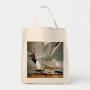 Audubon: Bonaparte's Gull Tote Bag