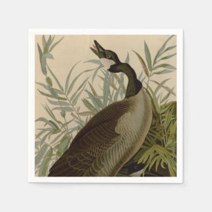 Audubon Canada Goose Wildlife Bird Napkin