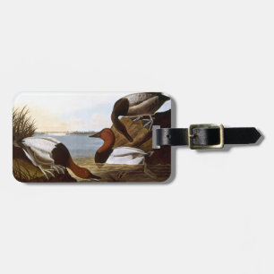 Audubon: Canvasback Luggage Tag