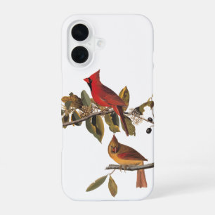 Audubon Cardinal Pair in Wild Almond Tree iPhone 16 Case