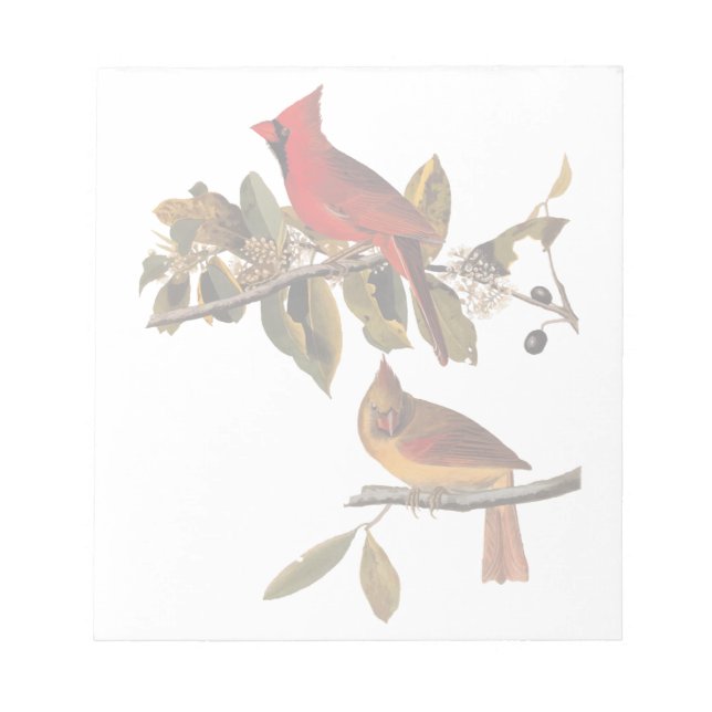 Audubon Cardinal Pair in Wild Almond Tree Notepad (Front)