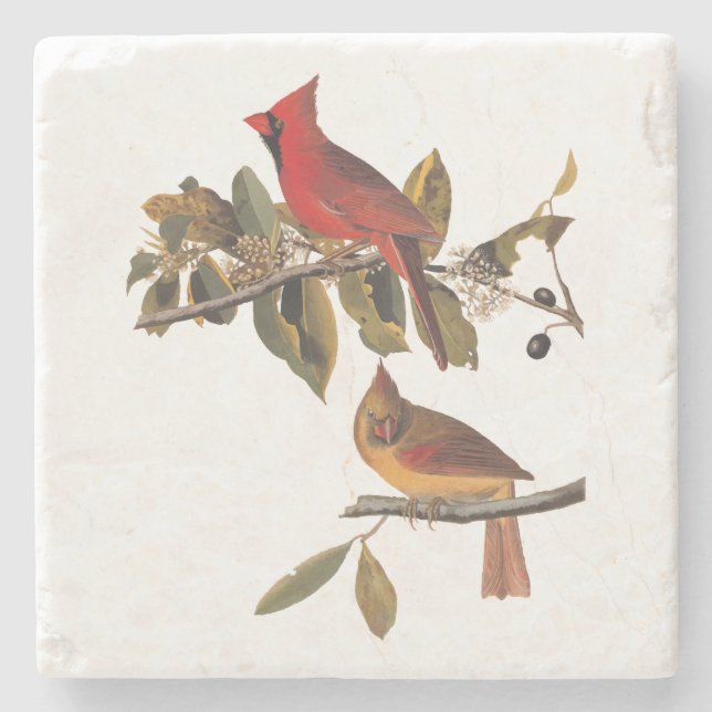 Audubon Cardinal Pair in Wild Almond Tree Stone Coaster (Front)