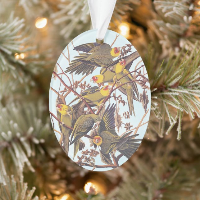 Audubon Carolina Parakeet Flock Ornament (Tree)