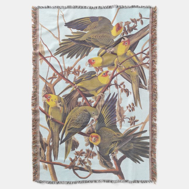 Audubon Carolina Parakeet Flock Throw Blanket (Front Vertical)