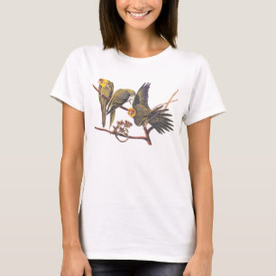 Audubon Carolina Parakeet Trio Women's T-shirt