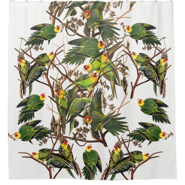 Audubon Carolina Parrot Bird Animal Shower Curtain (Front)