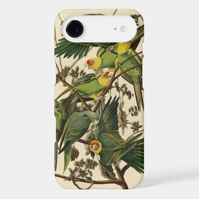 Audubon Carolina Parrot Bird illustration Case-Mate iPhone Case (Back)