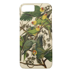 Audubon Carolina Parrot Bird illustration iPhone 8/7 Case