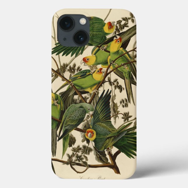 Audubon Carolina Parrot Bird illustration Case-Mate iPhone Case (Back)