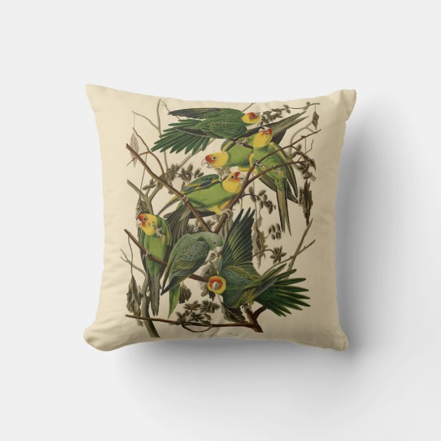 Audubon Carolina Parrot Bird illustration Cushion (Front)