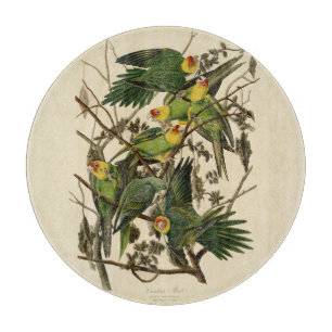 Audubon Carolina Parrot Bird illustration Cutting Board